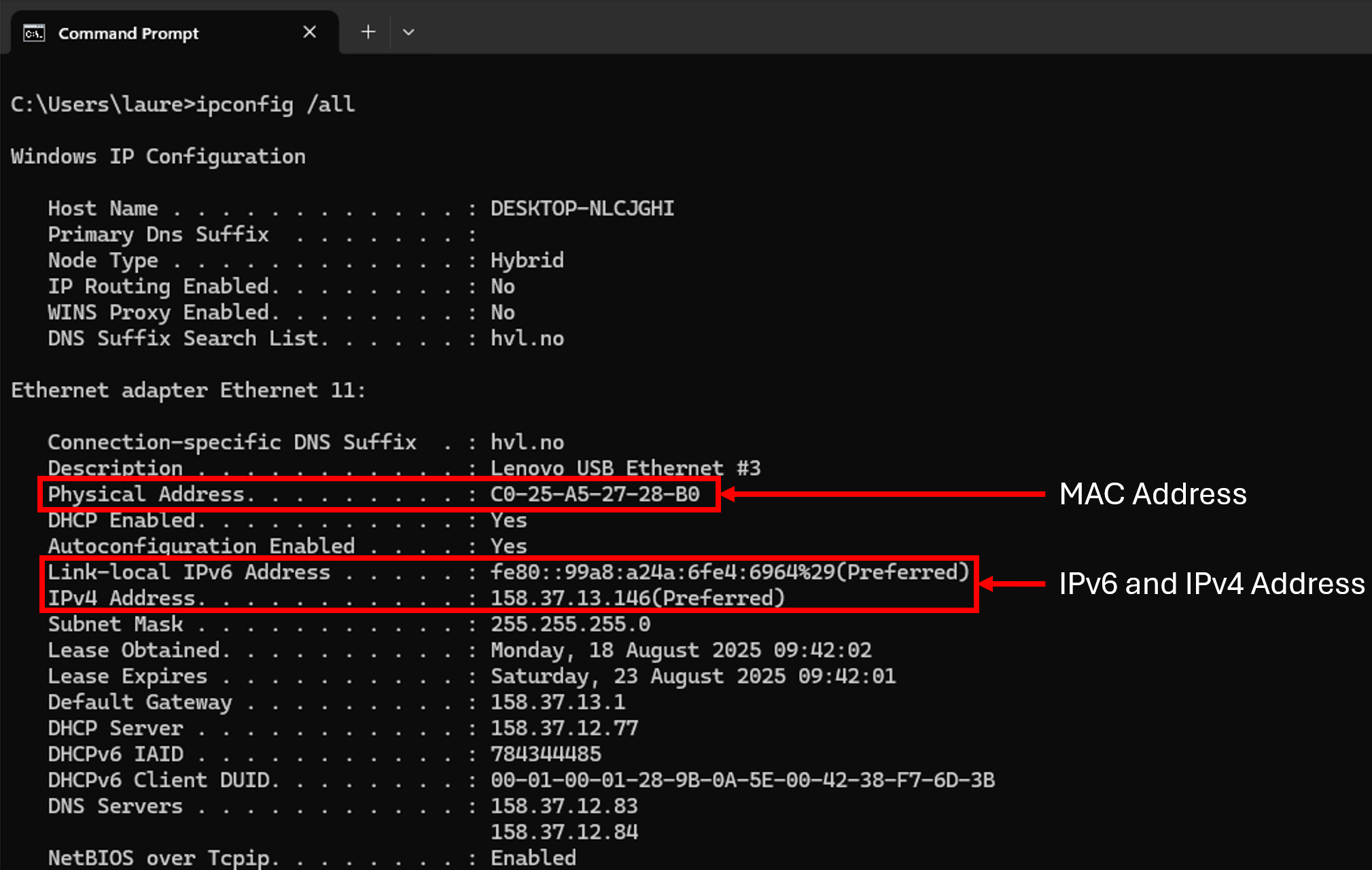 MAC and IP Address
