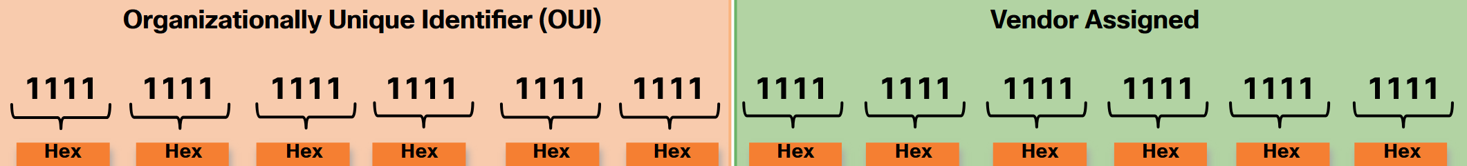 MAC Address Structure